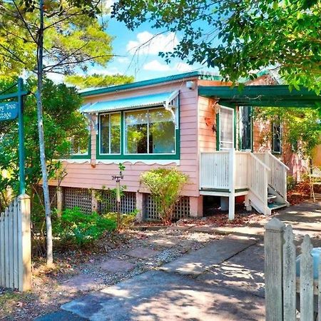 Cherry Tree Cottage Leura Exterior photo