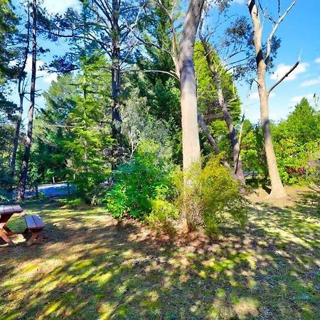 Cherry Tree Cottage Leura Exterior photo